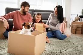 Caring for your Pets During your House Move