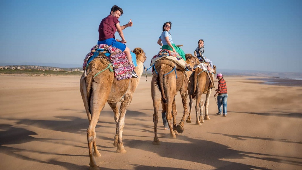 Four Best Tour Companies For Family Trips