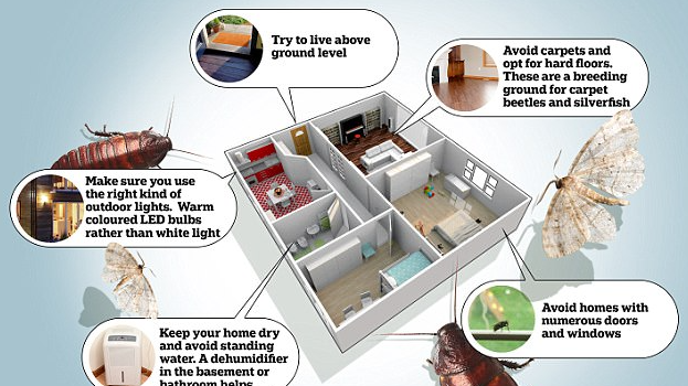 How you can increase your attic insulation and save money on your electricity bills with one simple installation