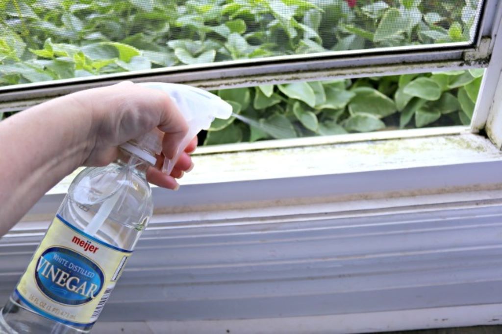 2 Quick and Easy Methods for Cleaning Window Tracks
